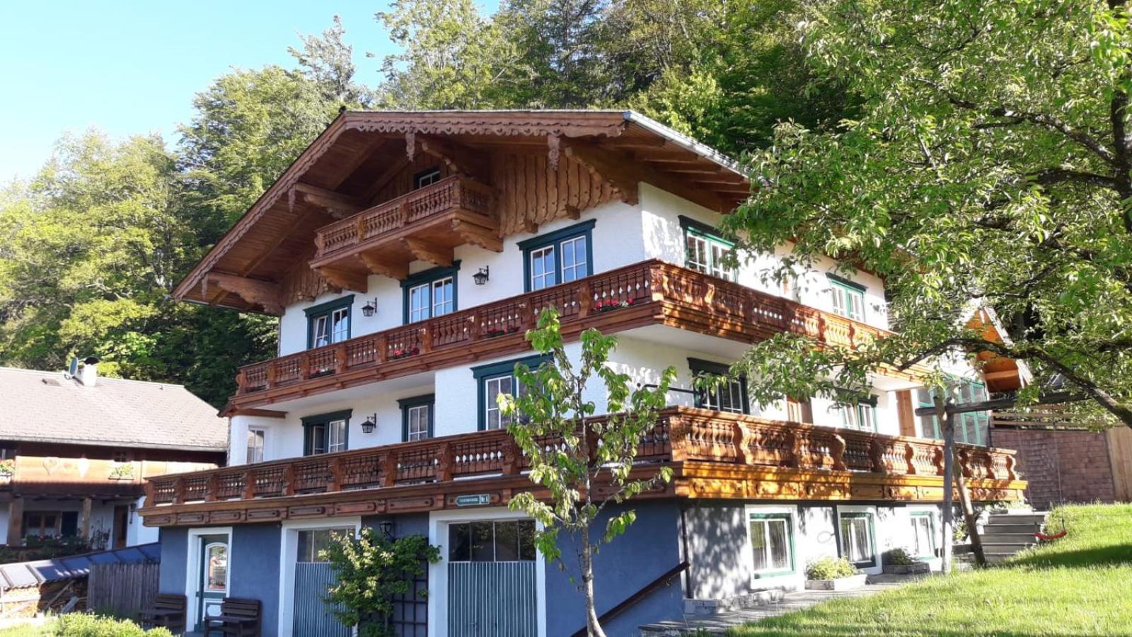 Ferienwohnung Appesbacher Sankt Wolfgang im Salzkammergut Bagian luar foto